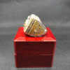 2022-2023 Kansas City Chiefs Replica Ring